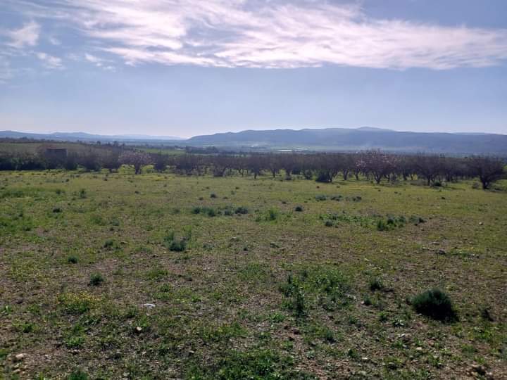 Tebourba Chouigui Terrain Terrain agricole Terrain agricole