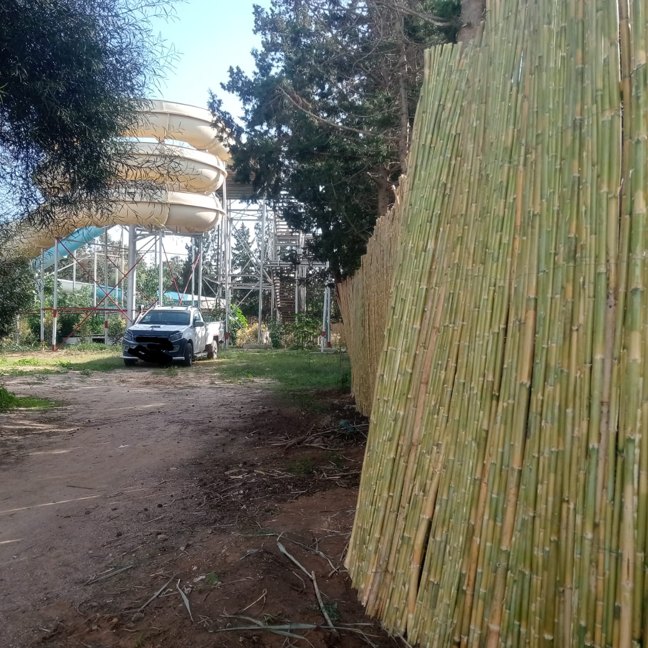 El Haouaria El Haouaria Jardinage Autre Canne pour dcoration