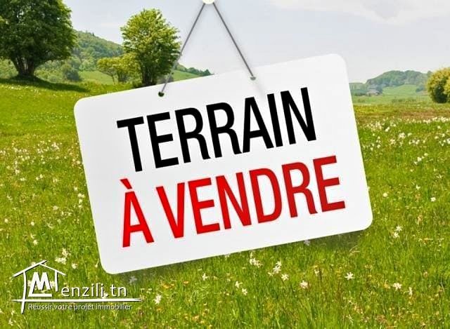 Oued Ellil Cite Bennour Bejoua 1 Terrain Terrain nu Vends lot de terrain