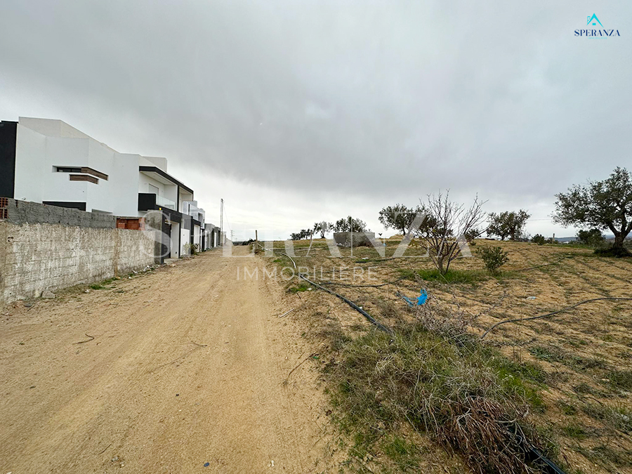 Hammamet Hammamet Terrain Terrain agricole Terrain tania