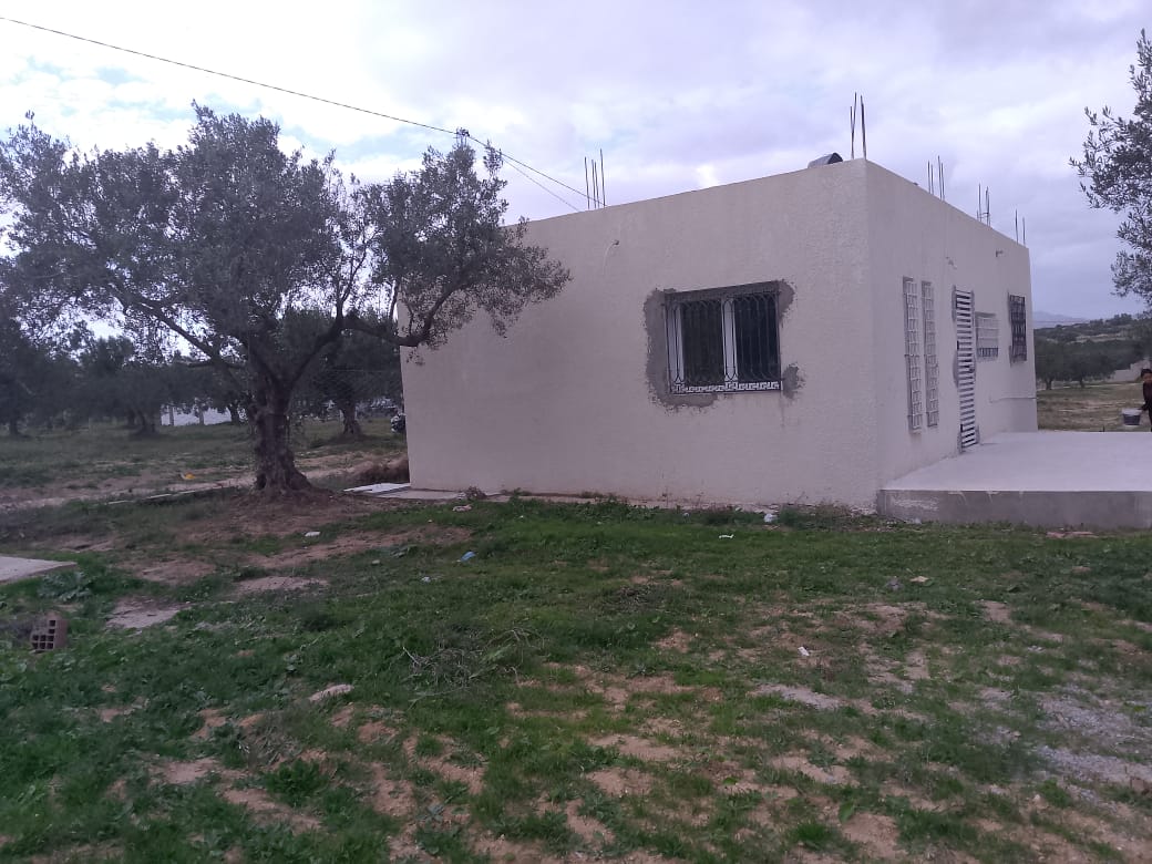 Hammamet Hammamet Vente Maisons Une ferme  dhwikhla de 1500m