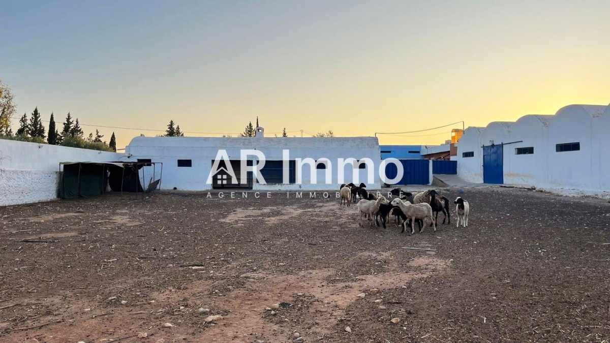 Tebourba Tebourba Vente Autre Ferme exceptionnelle  borj amri