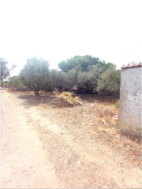 Bizerte Sud Louata Vente Maisons Maison spacieuse