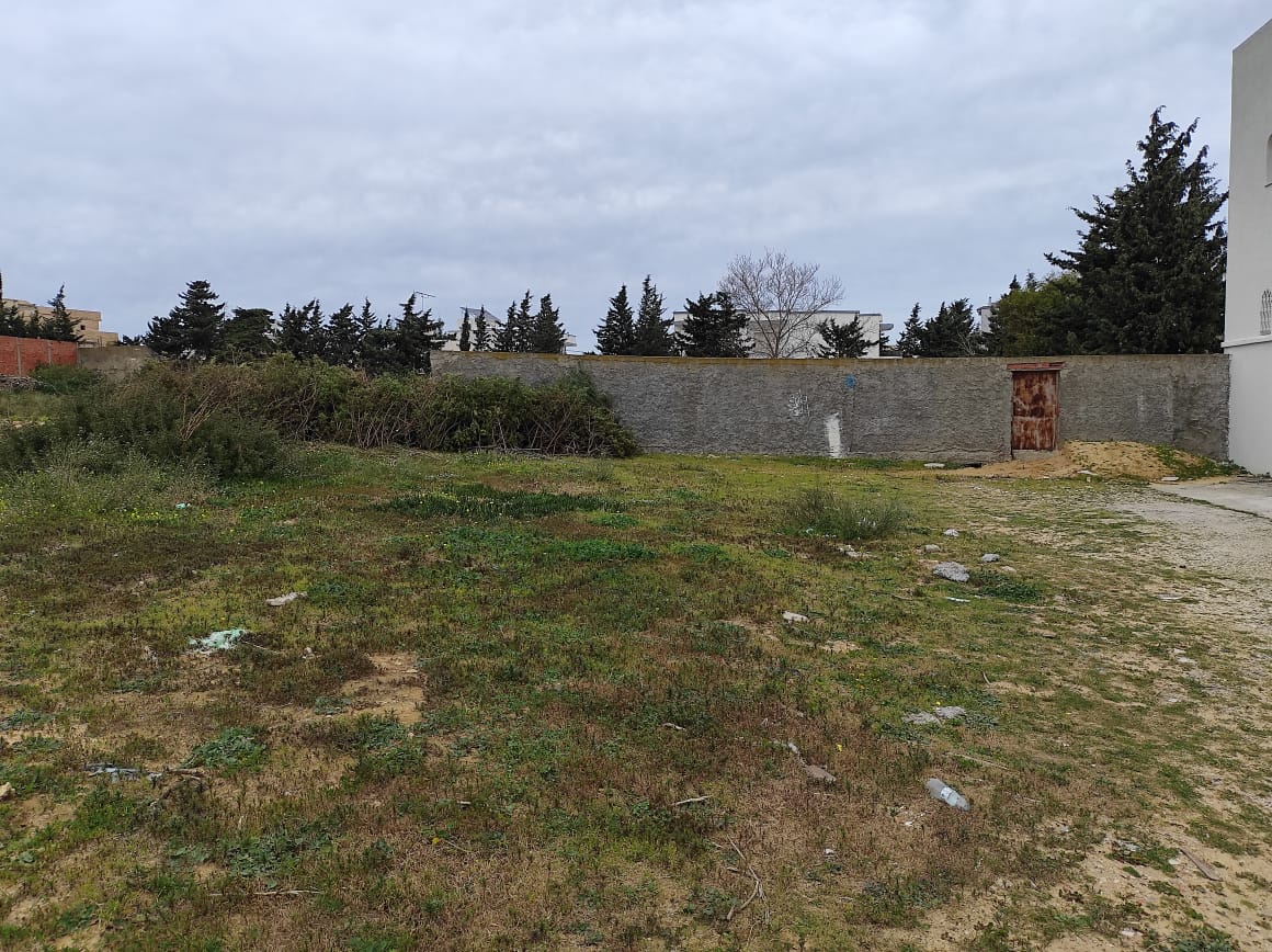 Bizerte Nord Cite El Korniche 1 Terrain Terrain nu Terrain constructible